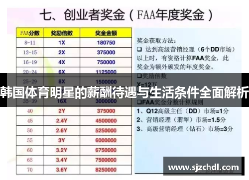 韩国体育明星的薪酬待遇与生活条件全面解析